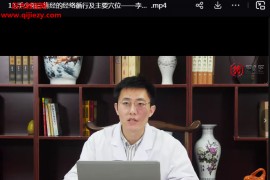 李澤波經絡穴位視頻課程18集百度網盤下載學習